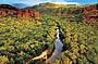 Kakadu National Park Explorer (D4)